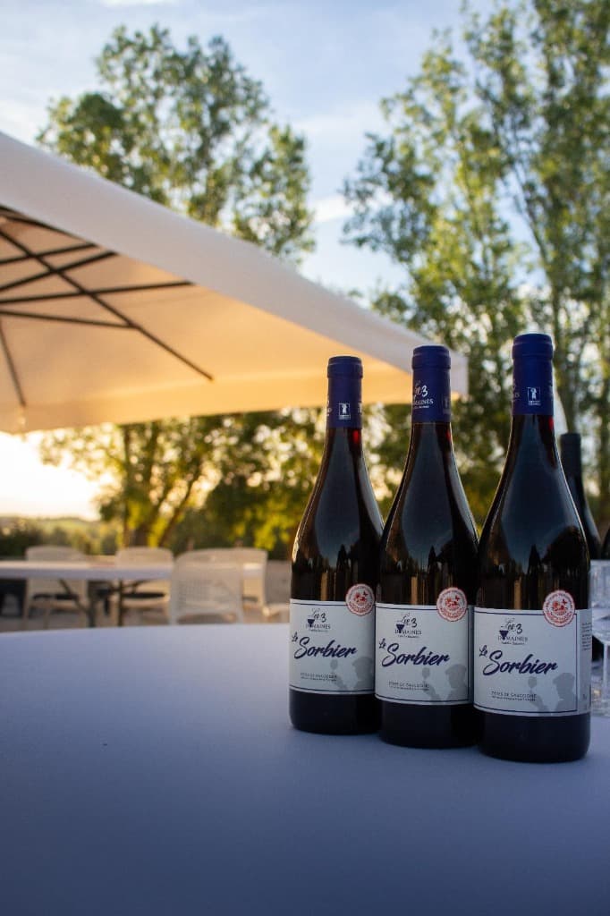 Cocktail en extérieur par Steven Dufour